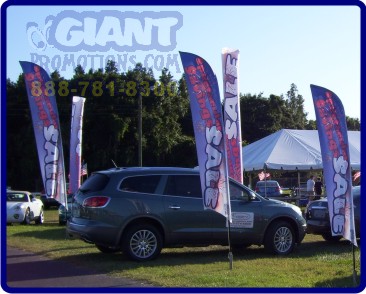 Auto dealer flags